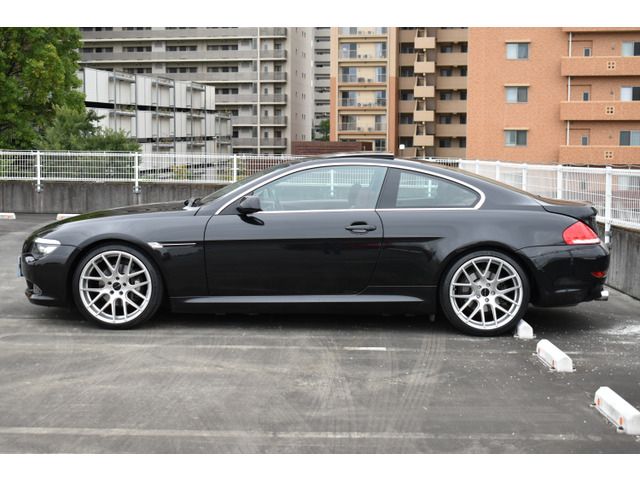 Bmw 6 SERIES 2009-10 19387-5
