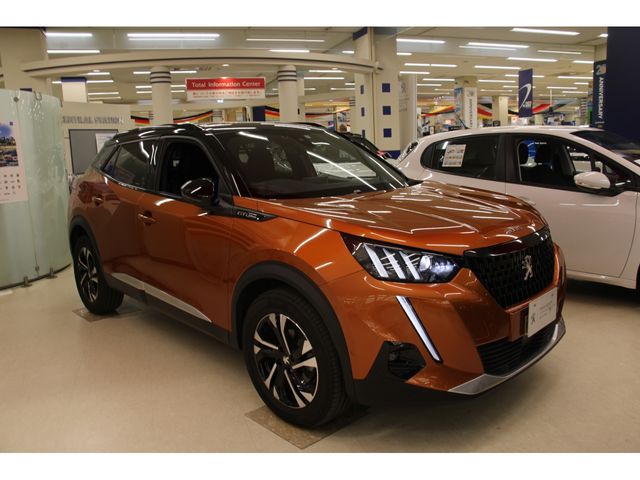 Peugeot 2008 2020-12 9005-25