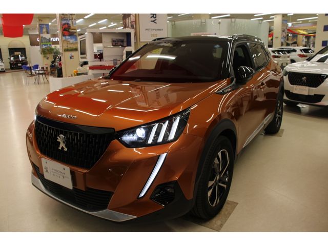 Peugeot 2008 2020-12 9005-24