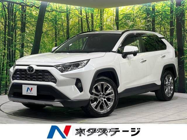 Toyota RAV4 2020-04 313180-0