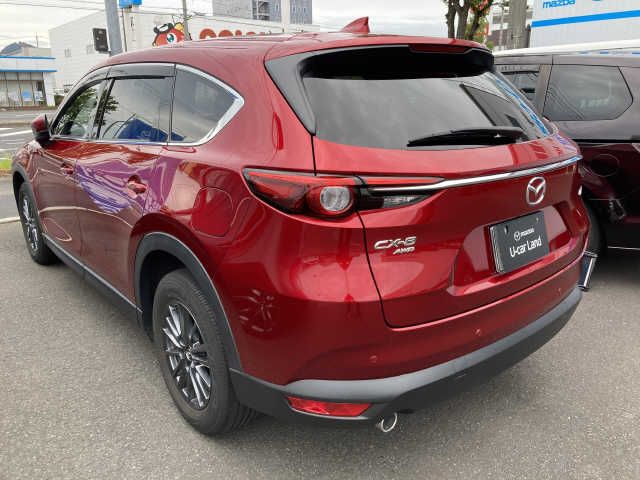 Mazda CX-8 2019-08 11299-2