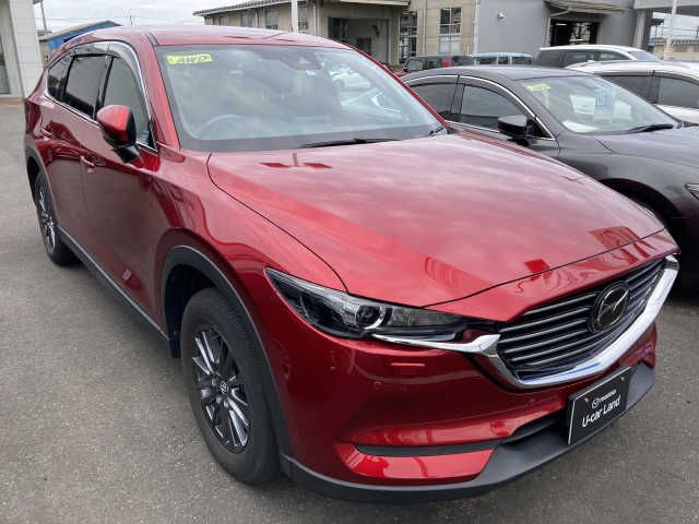 Mazda CX-8 2019-08 11299-4