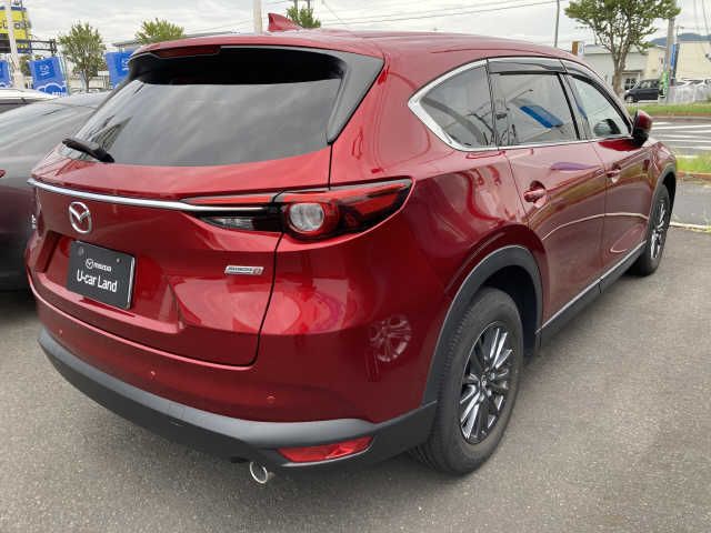 Mazda CX-8 2019-08 11299-7