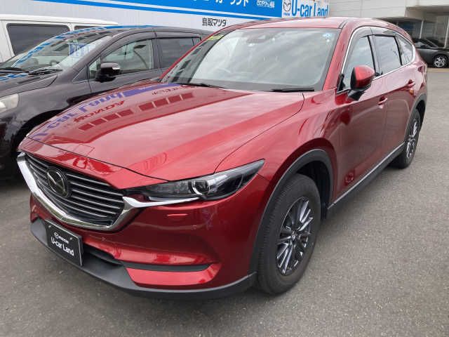 Mazda CX-8 2019-08 11299-0