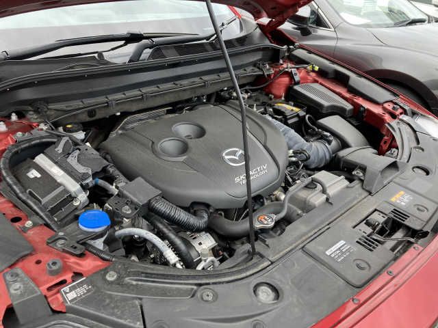 Mazda CX-8 2019-08 11299-3