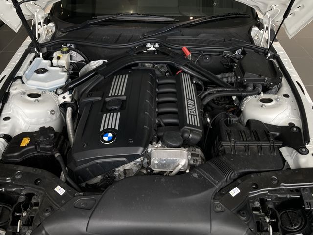 Bmw Z4 2010-05 5227-22