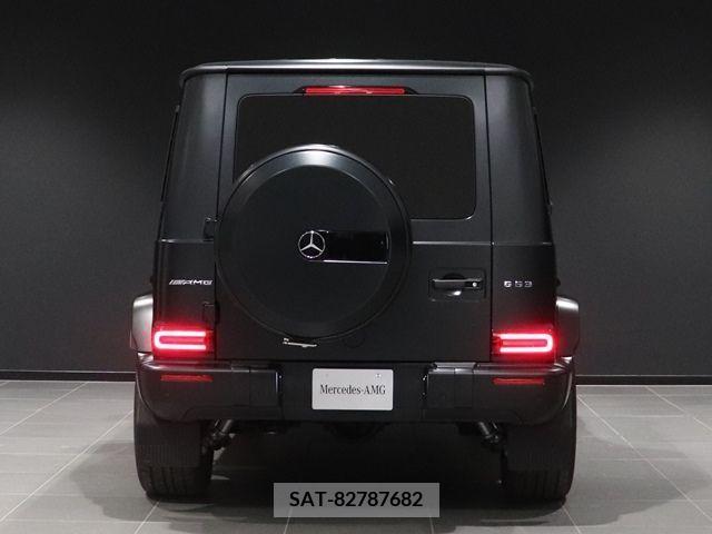 Amg G-CLASS 2023-05 227836-11
