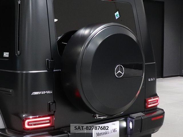 Amg G-CLASS 2023-05 227836-15