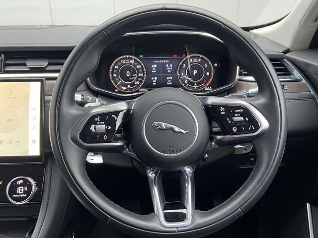 Jaguar F-PACE 2021-03 7342-6