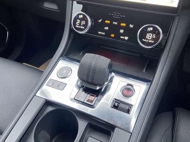 Jaguar F-PACE 2021-03 7342-17