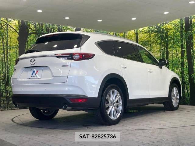 Mazda CX-8 2018-03 390288-18