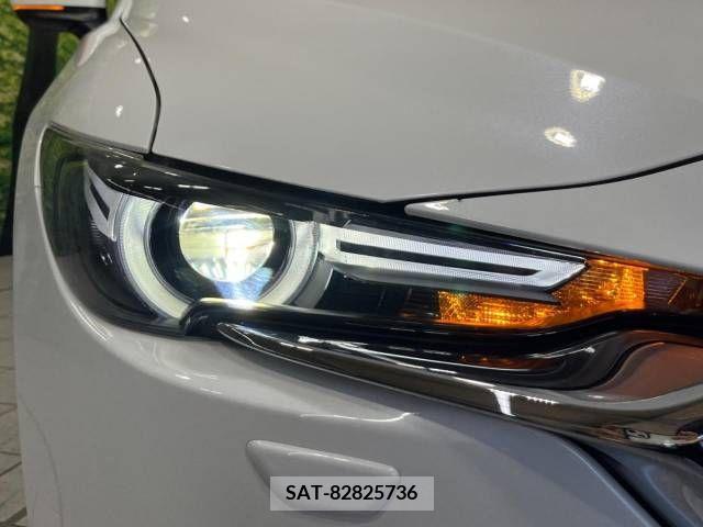 Mazda CX-8 2018-03 390288-13