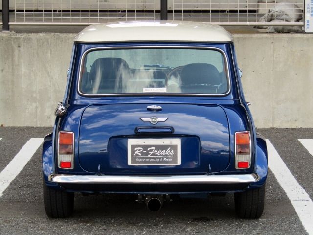 ROVER MINI 1999-09 6313-5