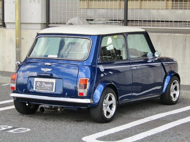 ROVER MINI 1999-09 6313-3