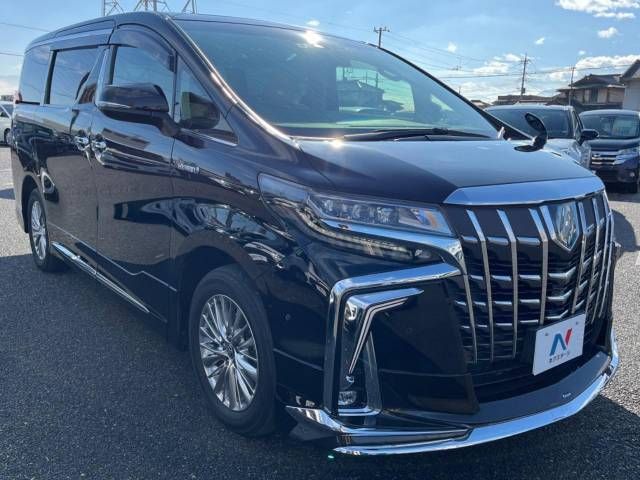 Toyota ALPHARD HYBRID 2019-07 196164-17