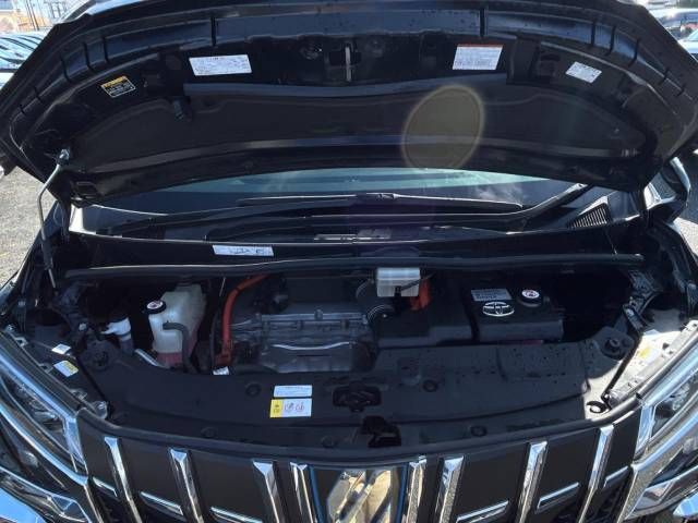 Toyota ALPHARD HYBRID 2019-07 196164-19