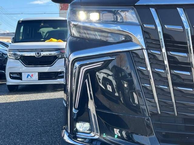 Toyota ALPHARD HYBRID 2019-07 196164-13