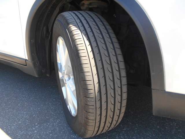 Nissan X-TRAIL 2015-11 6572-18