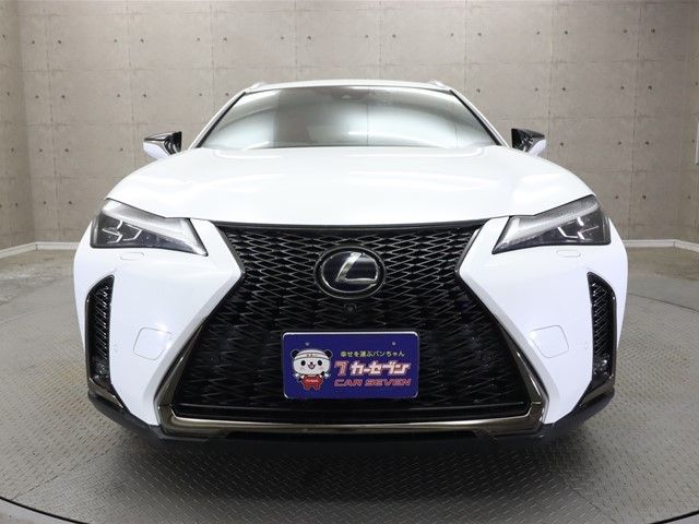Lexus UX 2019-10 3681-20