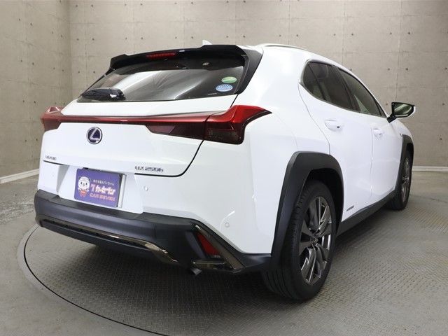 Lexus UX 2019-10 3681-1