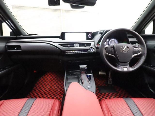 Lexus UX 2019-10 3681-2
