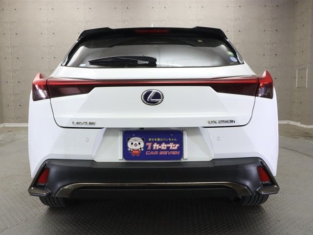 Lexus UX 2019-10 3681-23