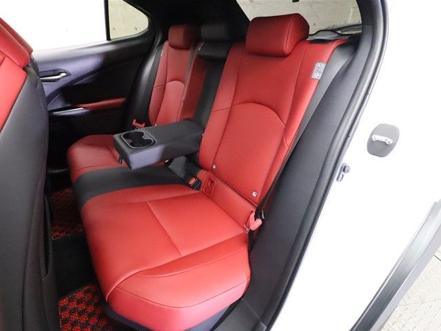 Lexus UX 2019-10 3681-6