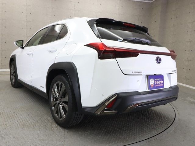 Lexus UX 2019-10 3681-24