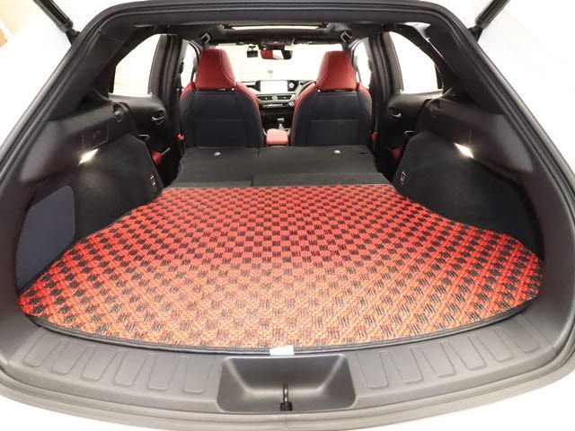Lexus UX 2019-10 3681-7