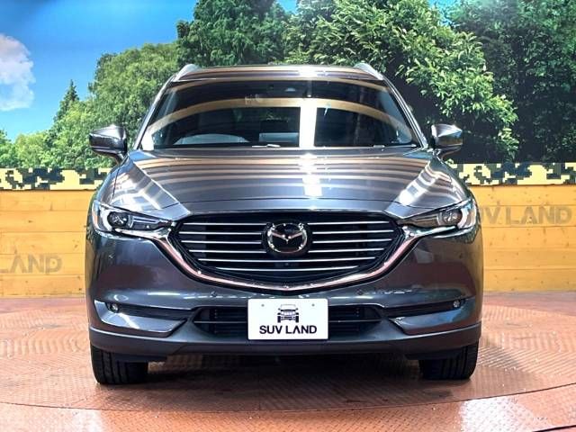 Mazda CX-8 2019-11 20329-15