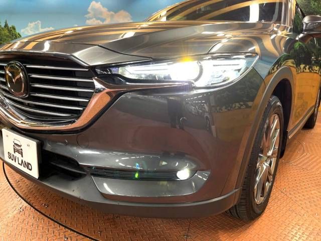 Mazda CX-8 2019-11 20329-13