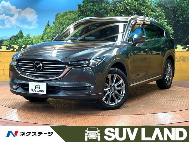 Mazda CX-8 2019-11 20329-0