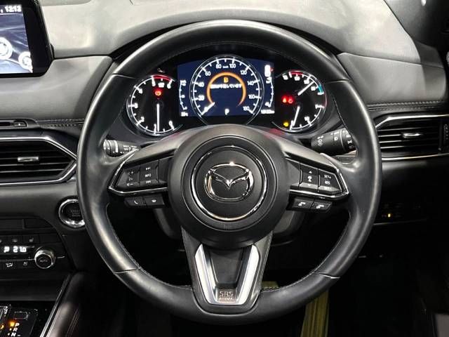 Mazda CX-8 2019-11 20329-12