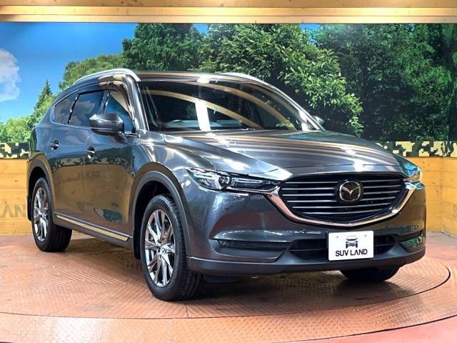 Mazda CX-8 2019-11 20329-17