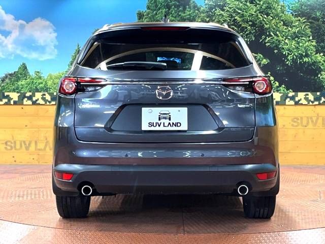 Mazda CX-8 2019-11 20329-16