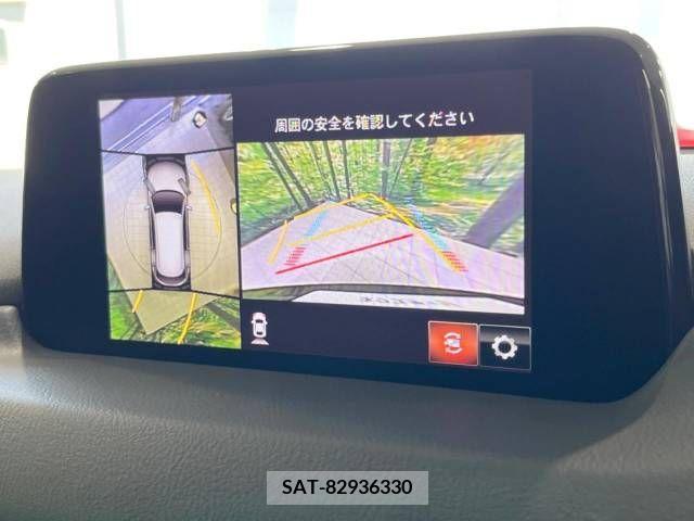 Mazda CX-8 2019-04 266220-6