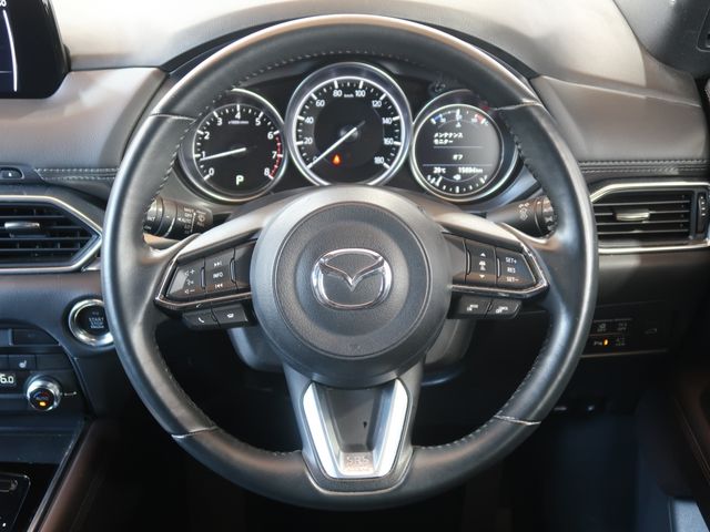 Mazda CX-8 2019-03 10840-29