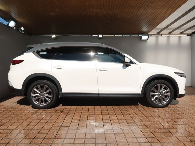 Mazda CX-8 2019-03 10840-7