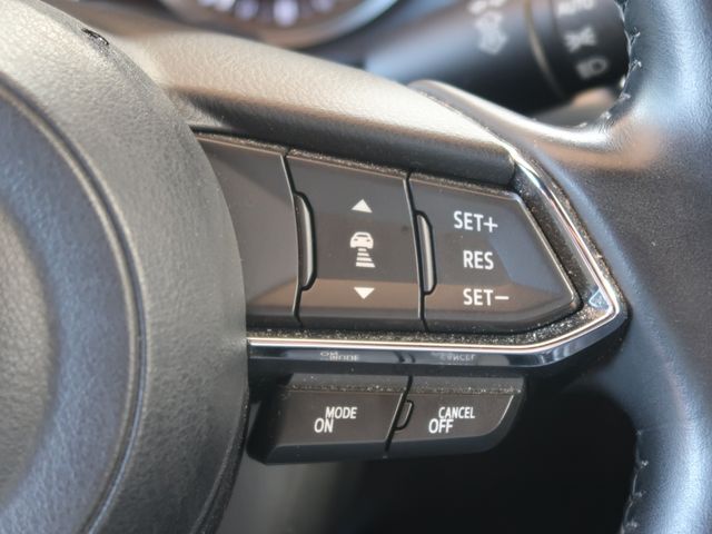 Mazda CX-8 2019-03 10840-16