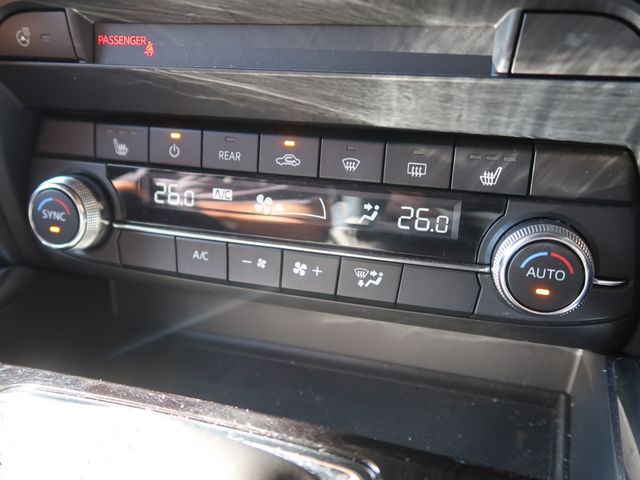 Mazda CX-8 2019-03 10840-22