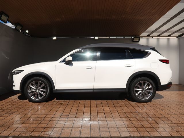 Mazda CX-8 2019-03 10840-8