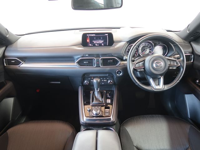 Mazda CX-8 2019-03 10840-1