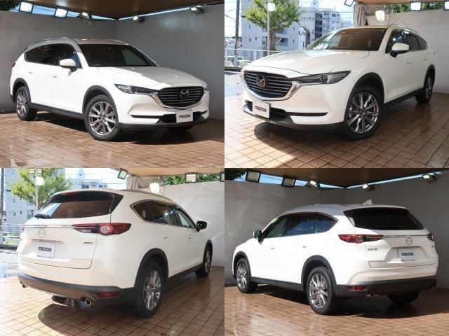 Mazda CX-8 2019-03 10840-2