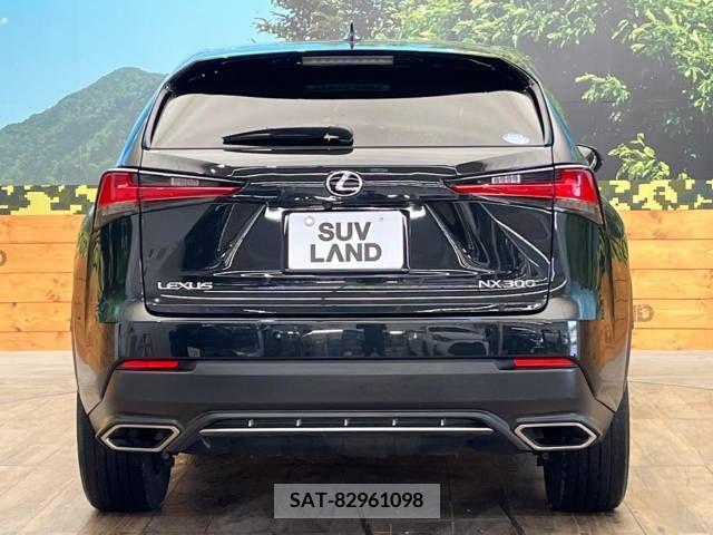 Lexus NX 2019-08 275934-14