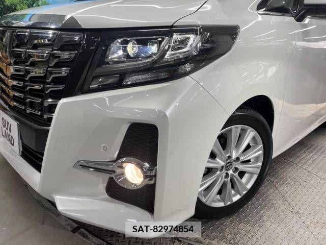 Toyota ALPHARD 2017-06 395484-12
