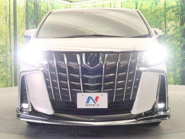 Toyota ALPHARD 2021-05 9222-16