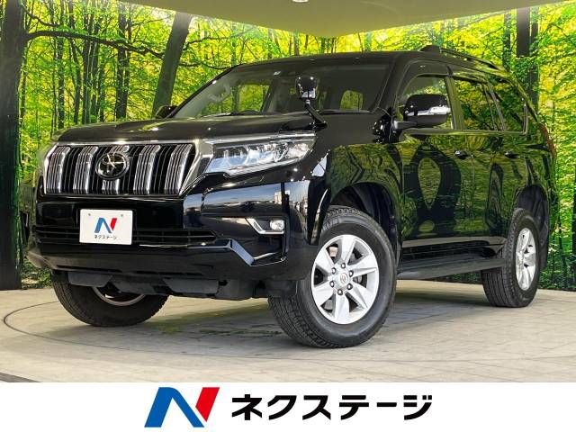 Toyota PRADO 2021-08 185509-0