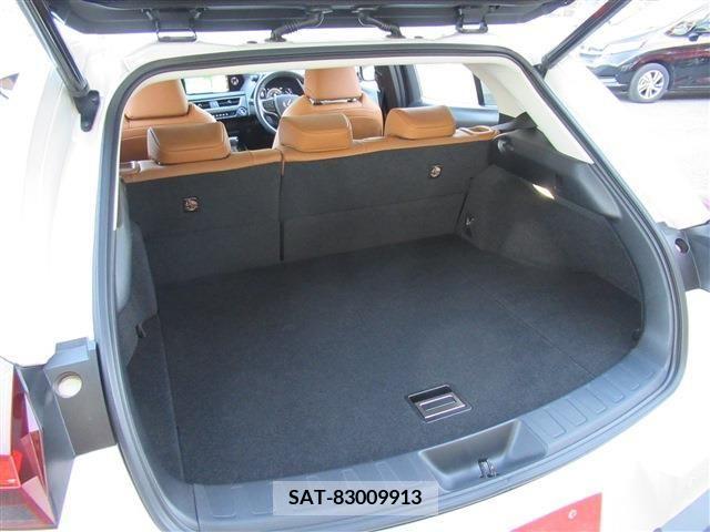 Lexus UX 2019-08 210975-12