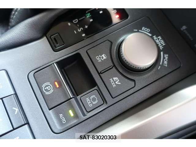 Lexus NX 2015-12 300539-16