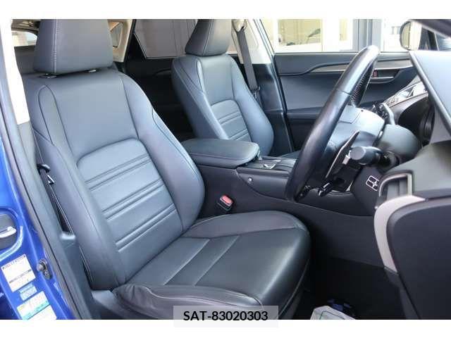 Lexus NX 2015-12 300539-1